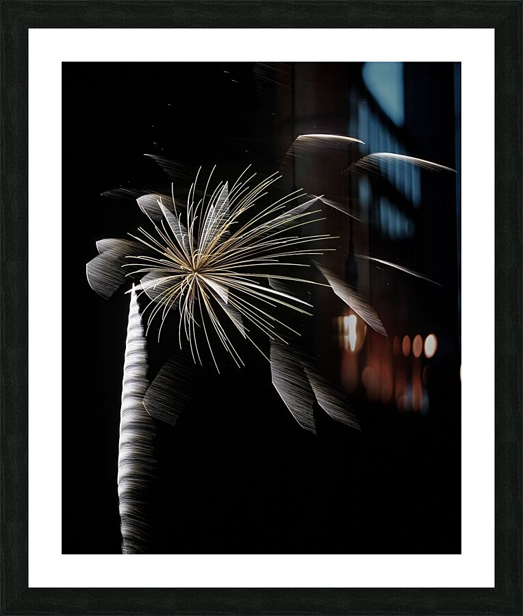 MIS 01052 Picture Frame print