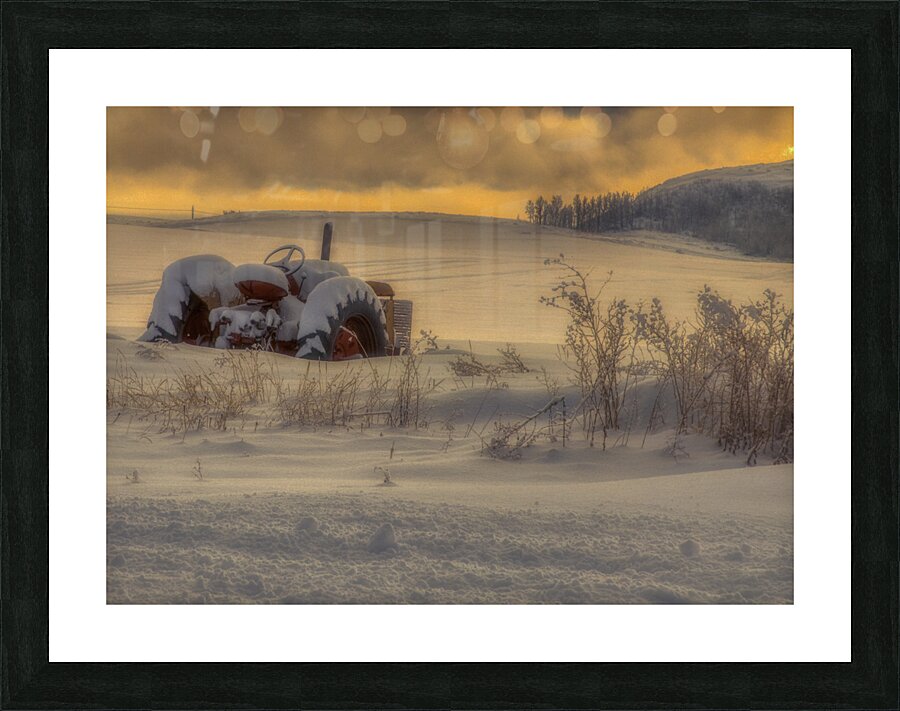 MIS 01069 Picture Frame print