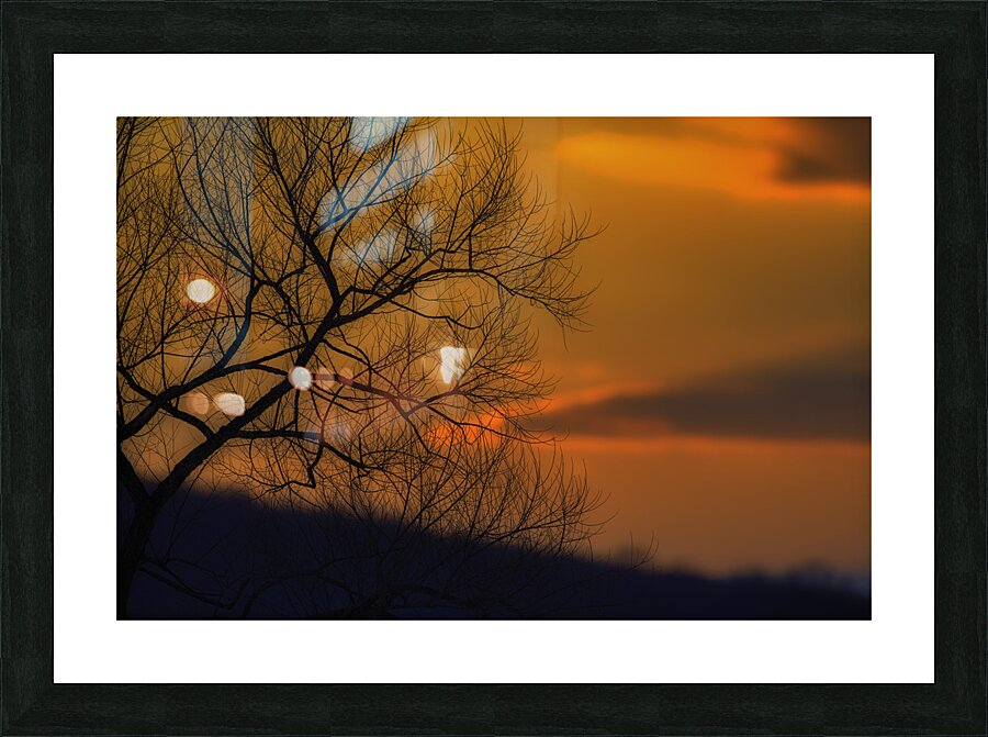 MIS 01068 Picture Frame print