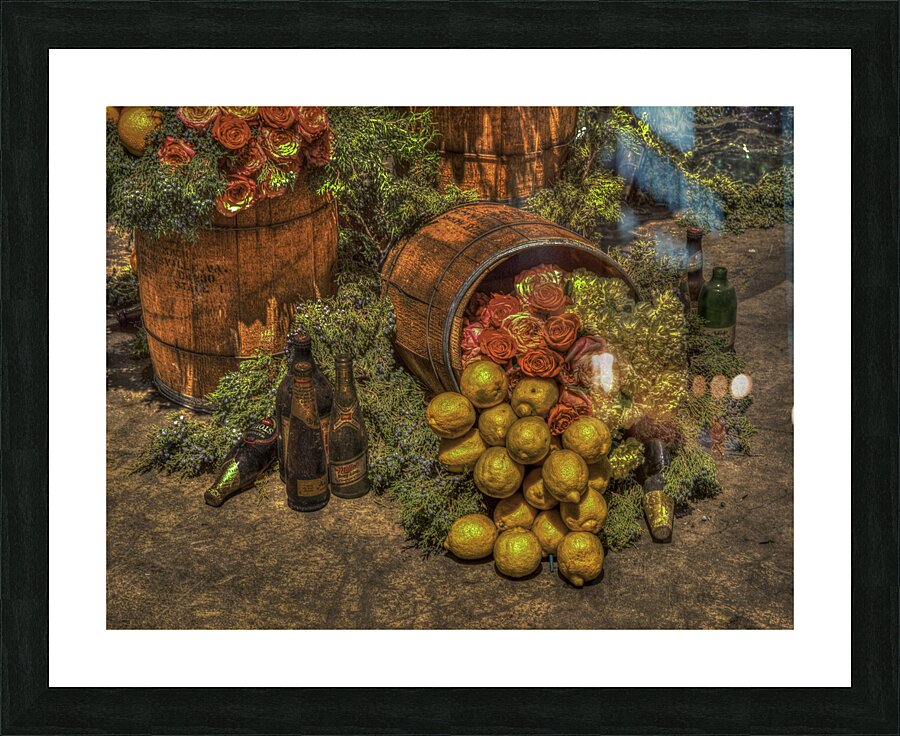 MIS 01093 Picture Frame print