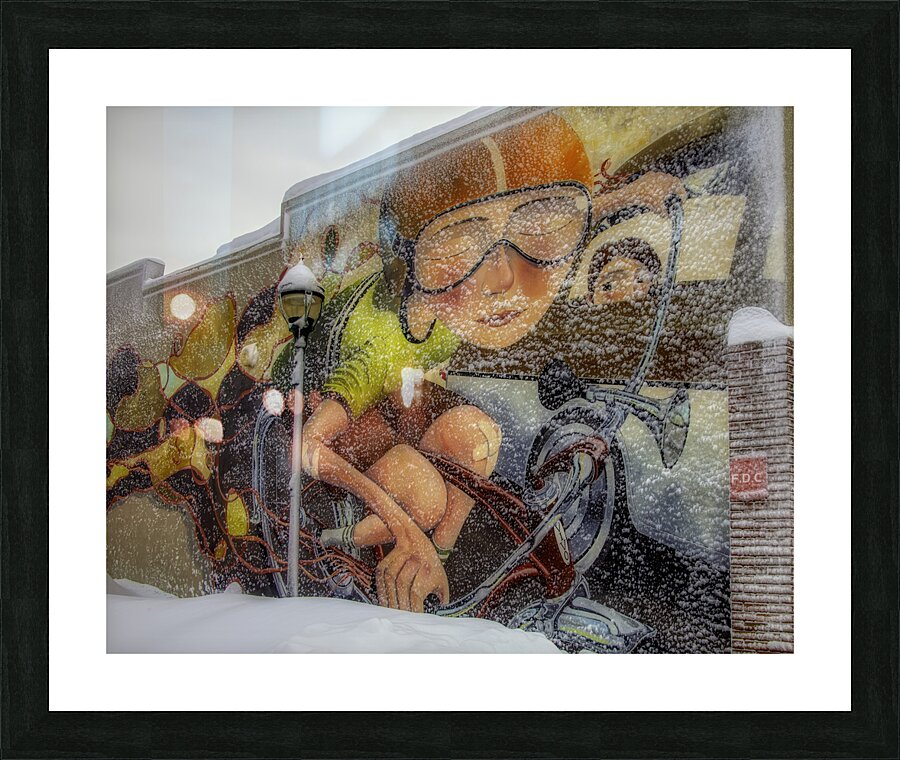 MIS 01070 Picture Frame print