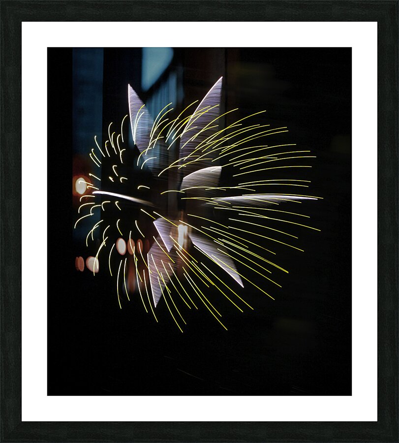MIS 01056 Picture Frame print