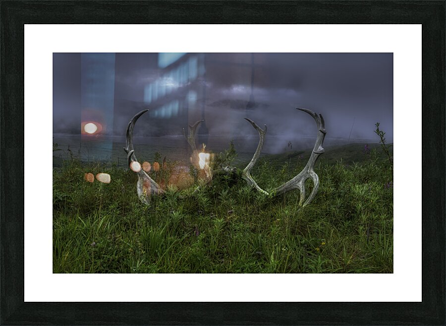 MIS 01161 Picture Frame print