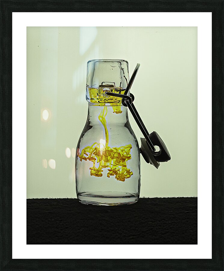 MIS 01177 Picture Frame print