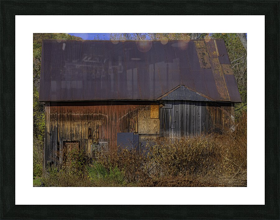 MIS 01118 Picture Frame print