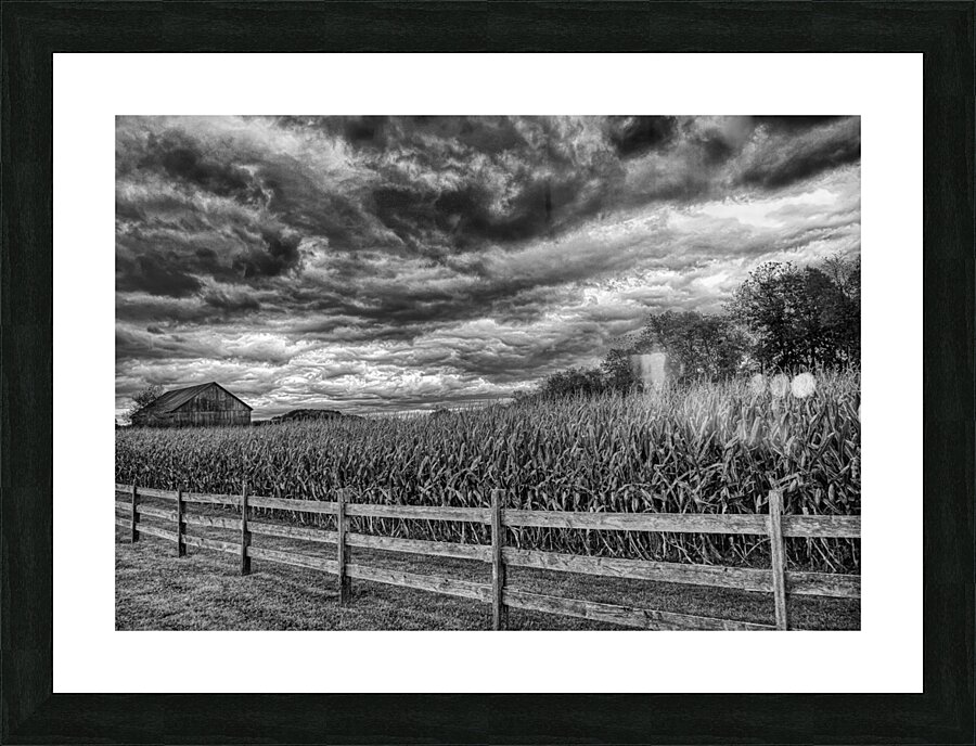 MIS 01139 Picture Frame print