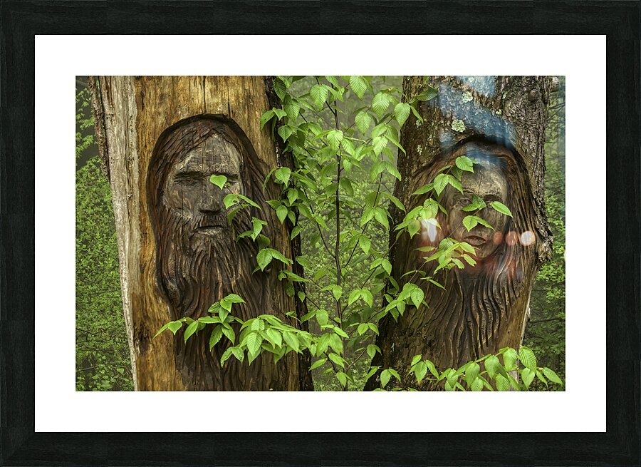 MIS 01147 Picture Frame print