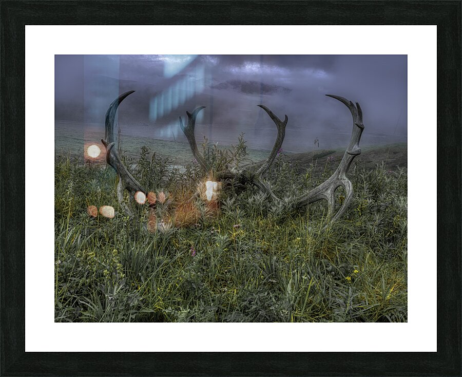 MIS 01124 Picture Frame print