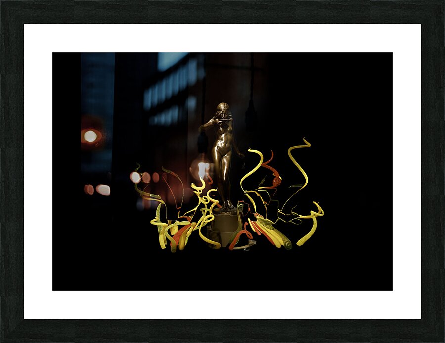 MIS 01132 Picture Frame print