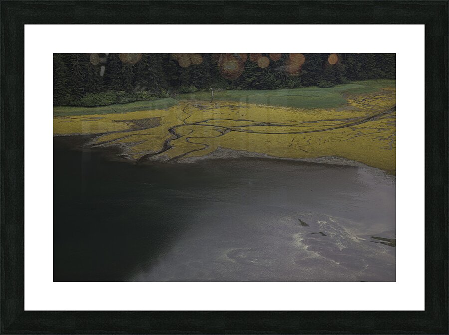 MIS 01143 Picture Frame print