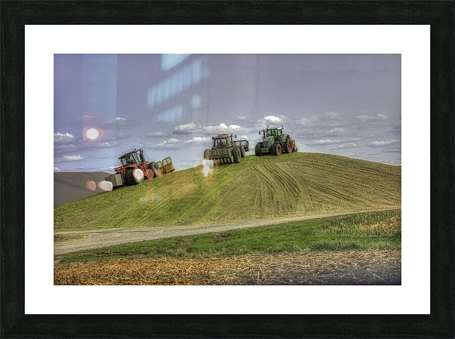 MIS 01115 Picture Frame print