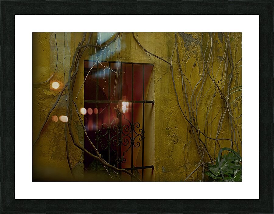 MIS 01187 Picture Frame print