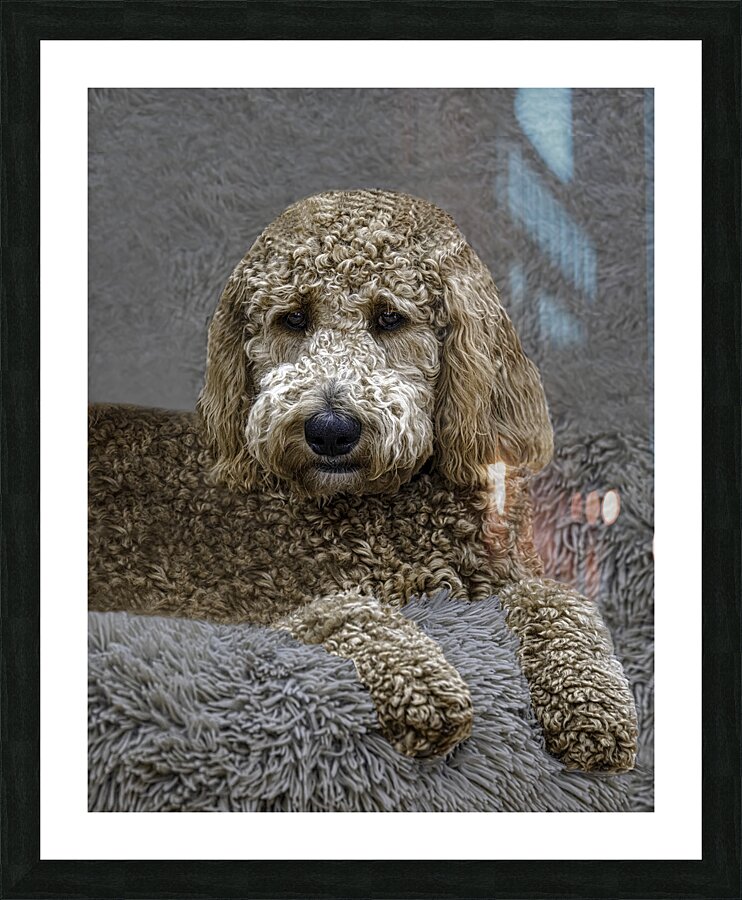 PEO 01214 Picture Frame print