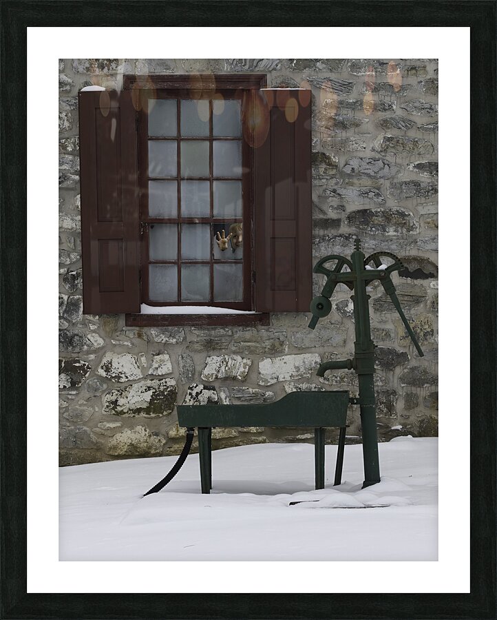 PEO 01252 Picture Frame print