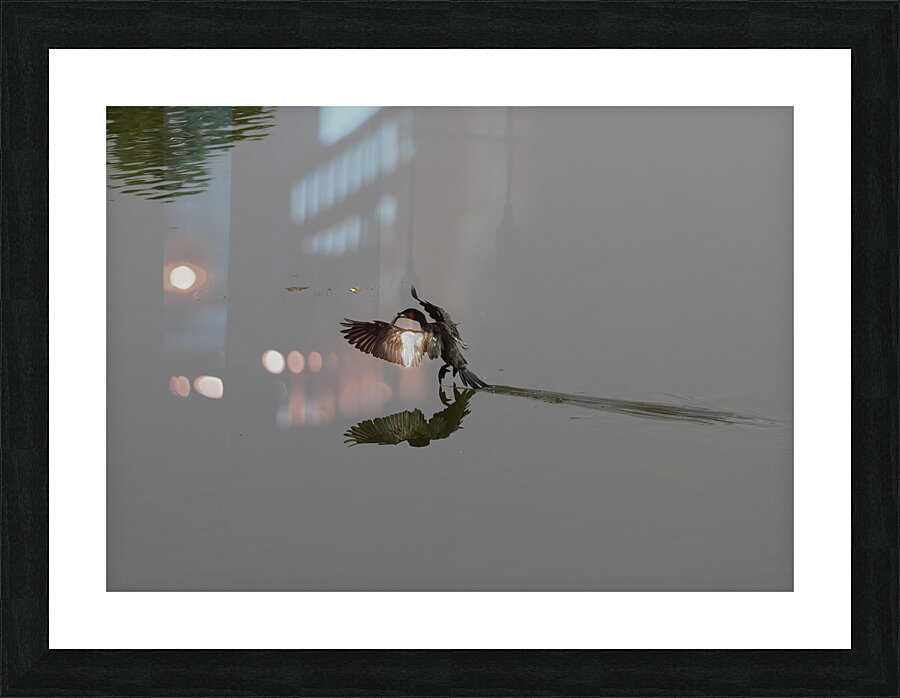 ACT 01469 Picture Frame print
