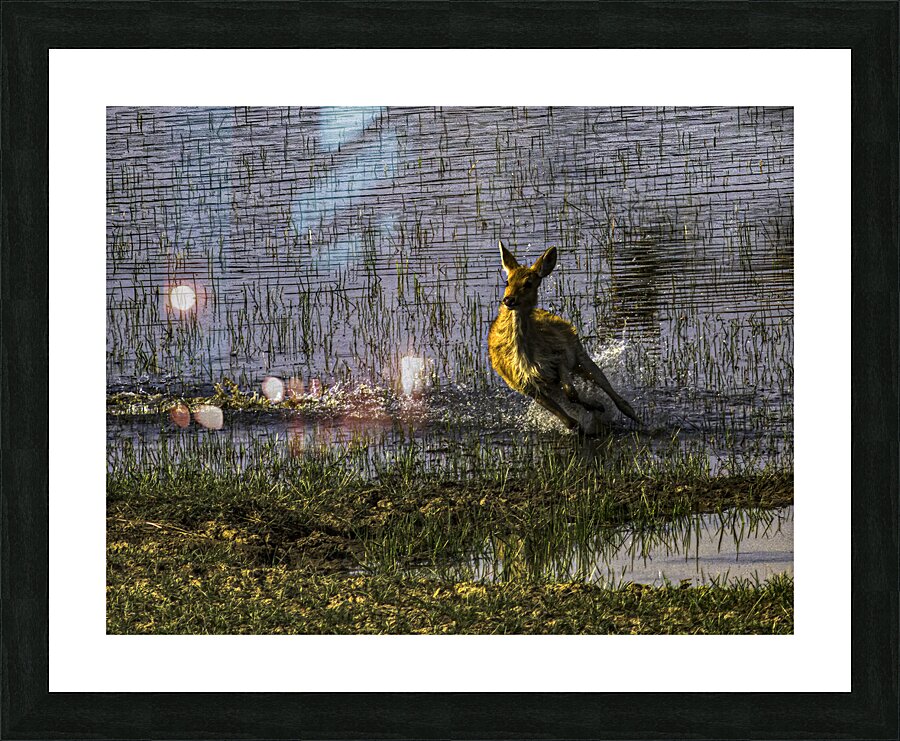 ACT 01467 Picture Frame print