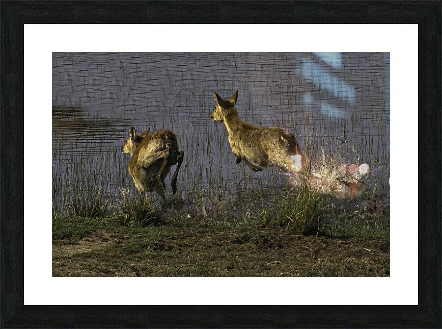 ACT 01468 Picture Frame print