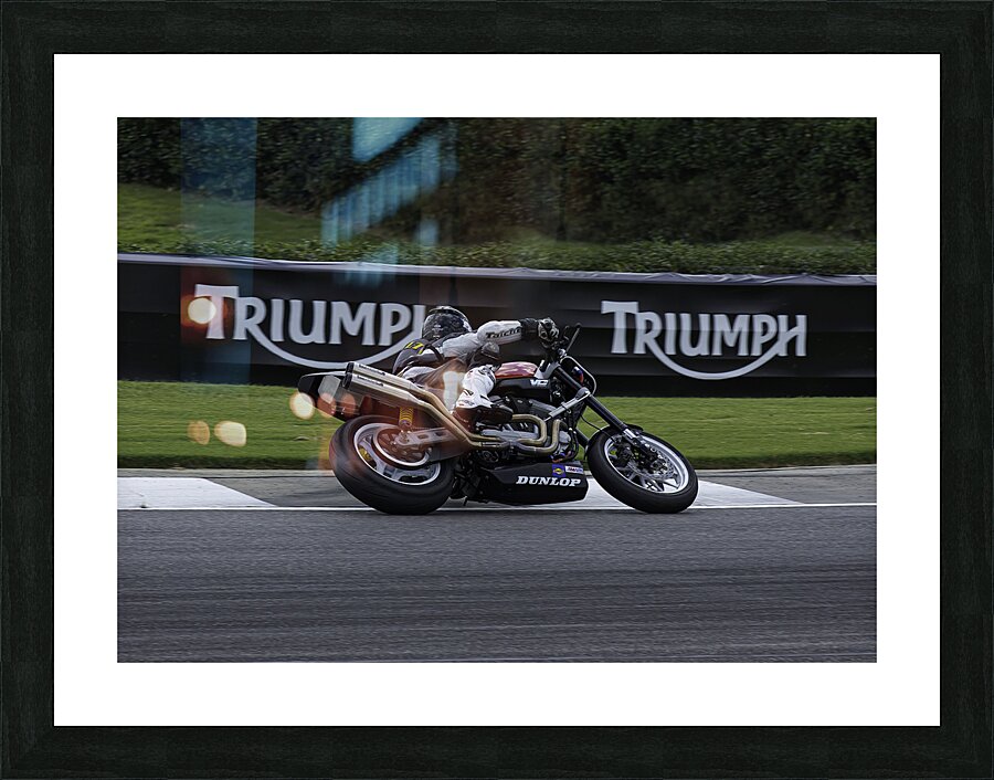 ACT 01433 Picture Frame print