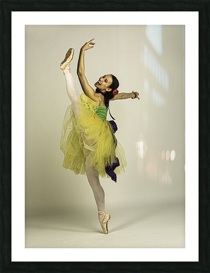ACT 01447 Picture Frame print