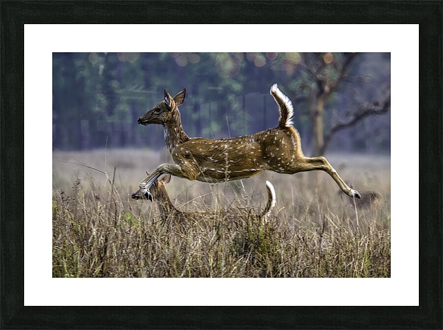ACT 01466 Picture Frame print