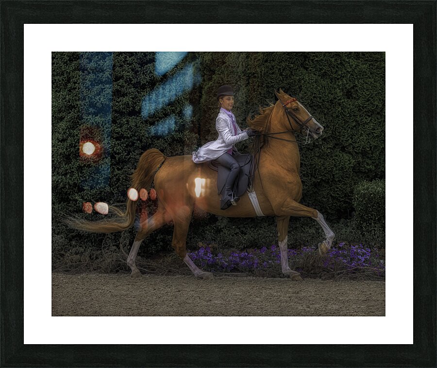 ACT 01485 Picture Frame print