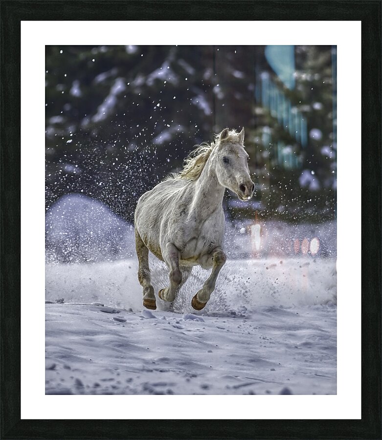 ACT 01443 Picture Frame print