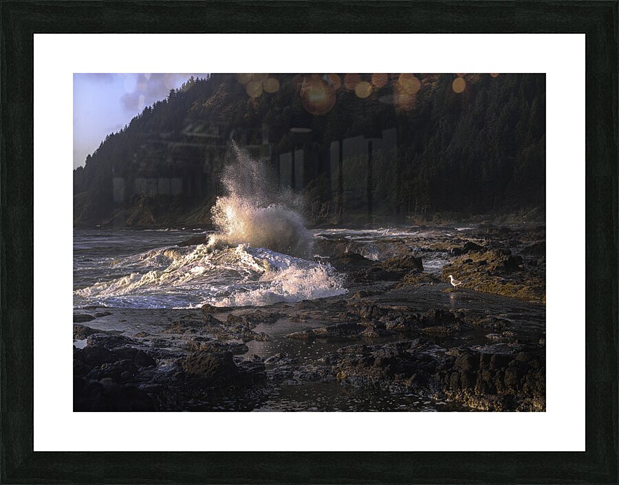 WAT 01531 Picture Frame print