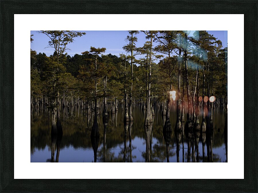 WAT 01561 Picture Frame print