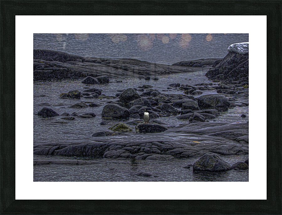 WAT 01639 Picture Frame print