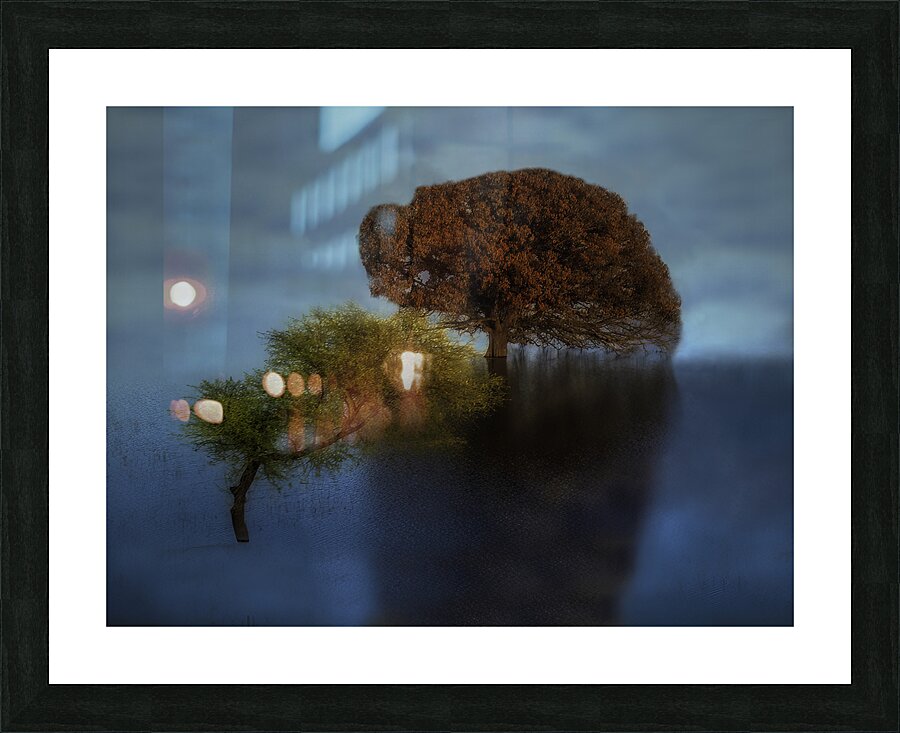 WAT 01631 Picture Frame print