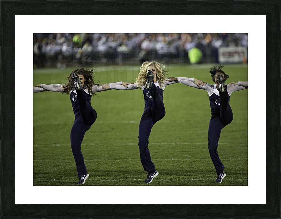 ACT 01382 Picture Frame print