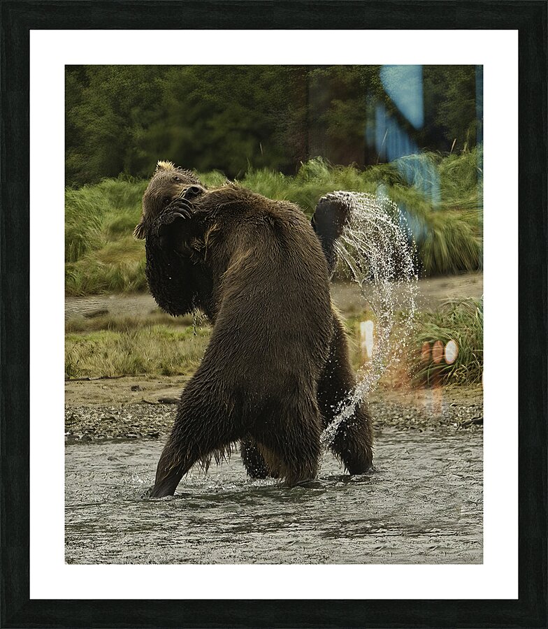 ACT 01390 Picture Frame print