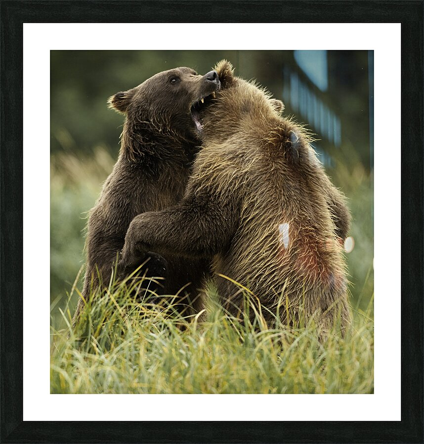 ACT 01391 Picture Frame print