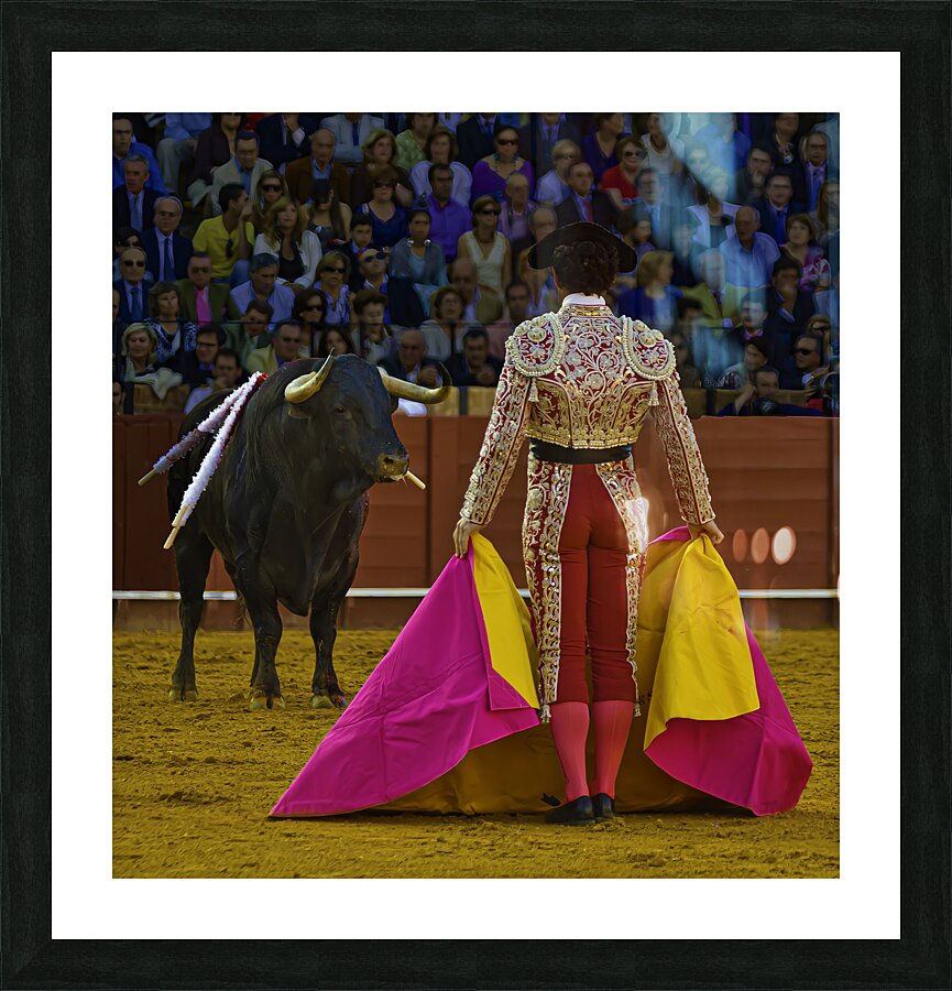 ACT 01389 Picture Frame print