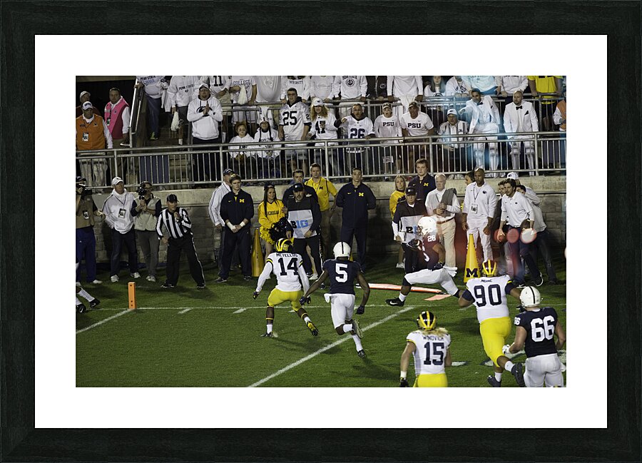 ACT 01378 Picture Frame print