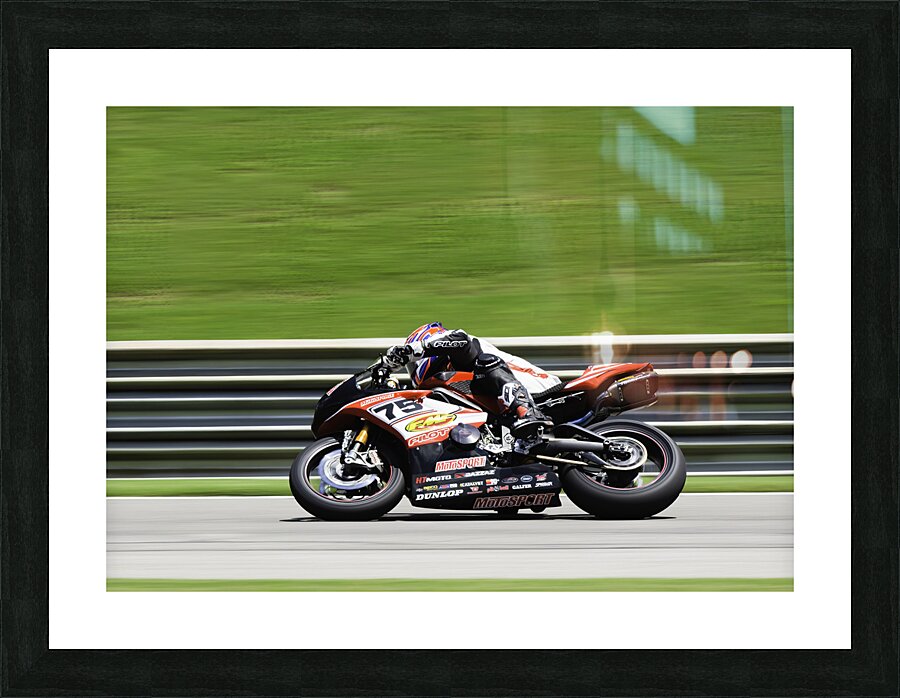 ACT 01411 Picture Frame print