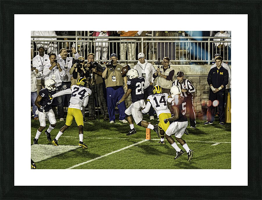 ACT 01379 Picture Frame print