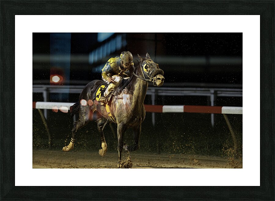 ACT 01395 Picture Frame print