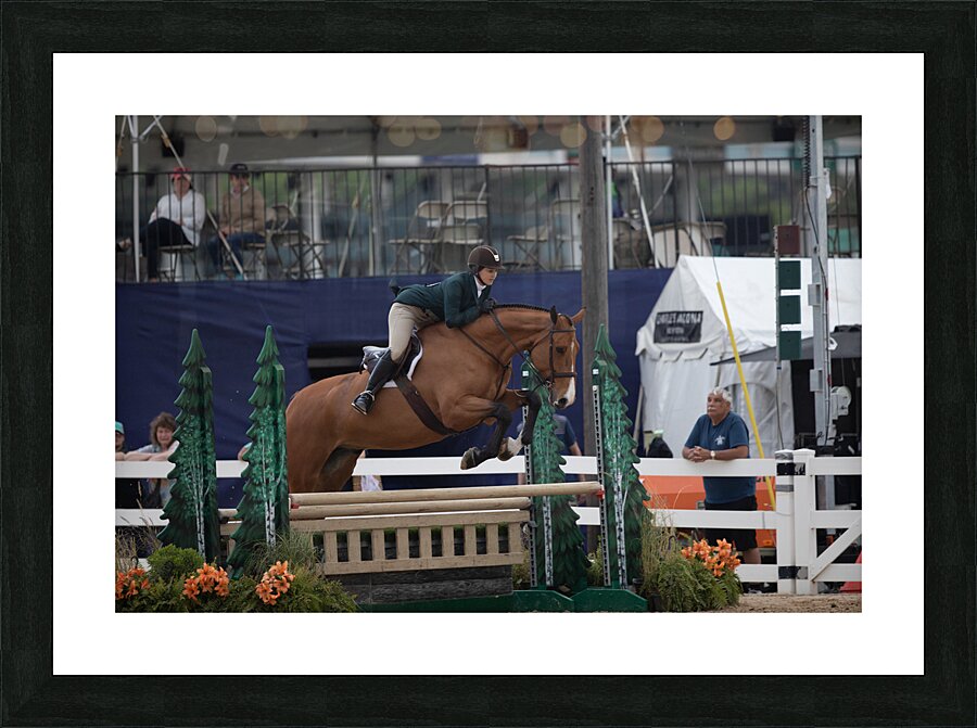 ACT 01677 Picture Frame print
