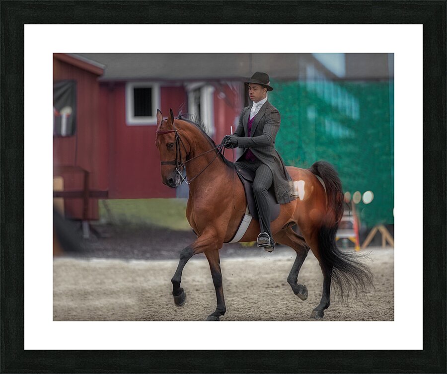 ACT 01679 Picture Frame print