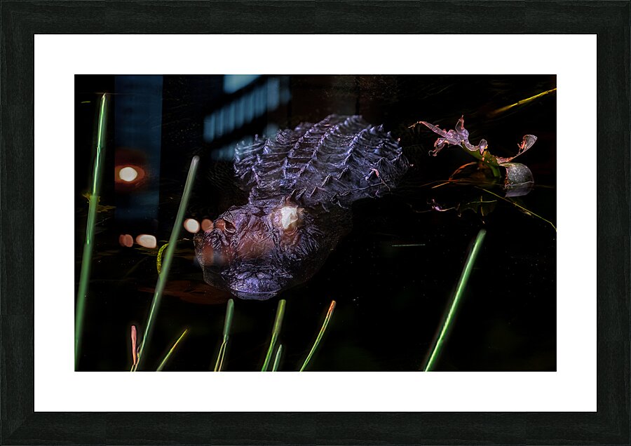 ANI 01693 Picture Frame print