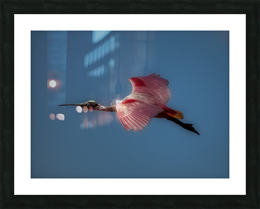 BIR 01721 Picture Frame print