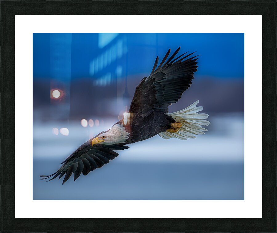 *BIR01723 Picture Frame print