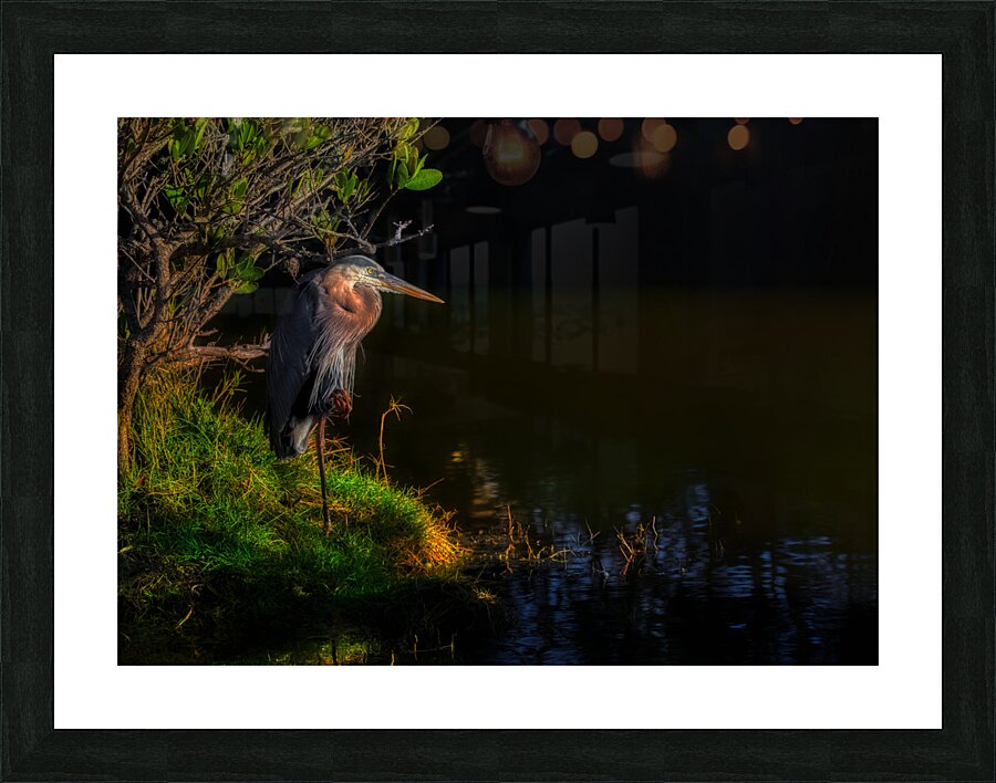 BIR 01718 Picture Frame print