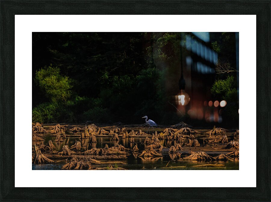 BIR 01712 Picture Frame print