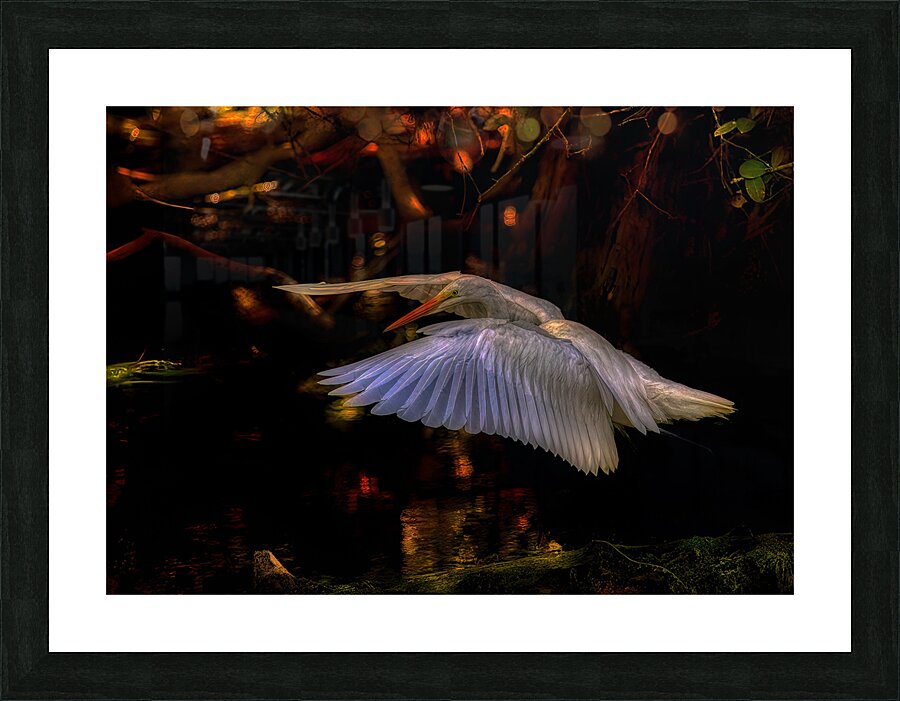 BIR 01716 Picture Frame print