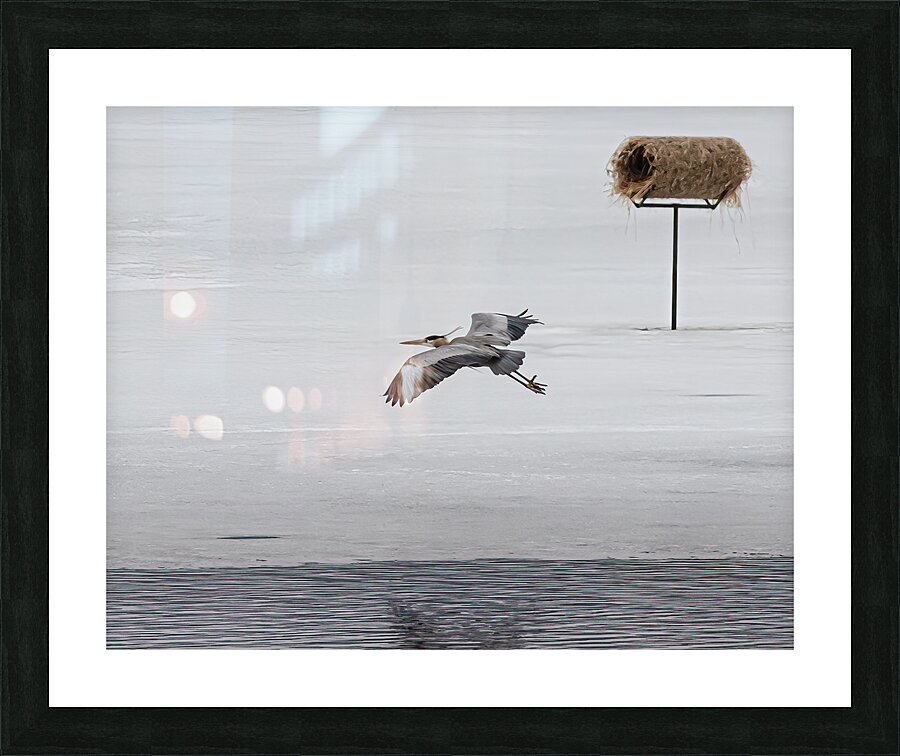 BIR 01709 Picture Frame print