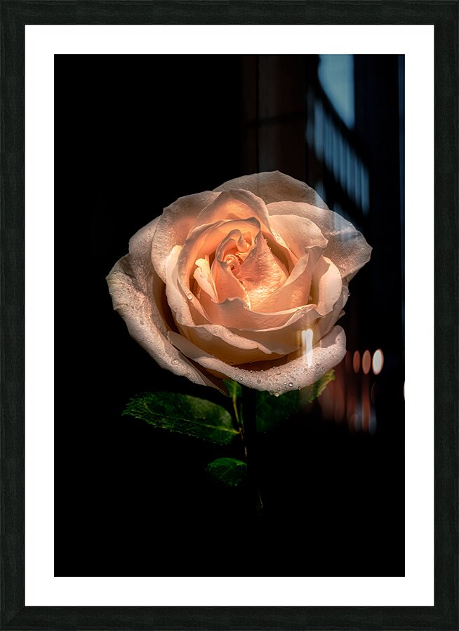 FLO 01817 Picture Frame print