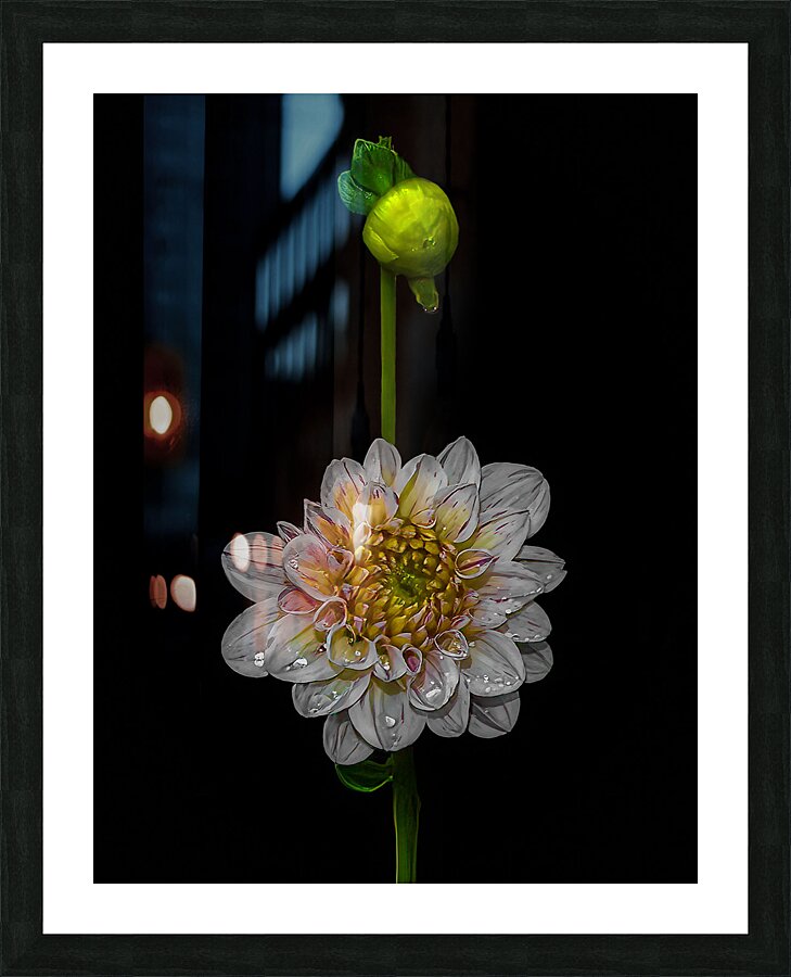 FLO 01815 Picture Frame print