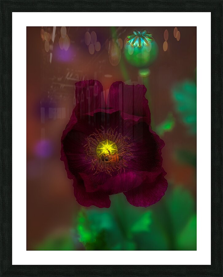 FLO 01794 Picture Frame print
